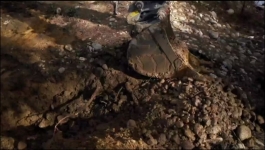 Gold Rush Winters Fortune - Season 01 Episode 07